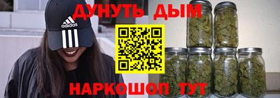 индика Долгопрудный