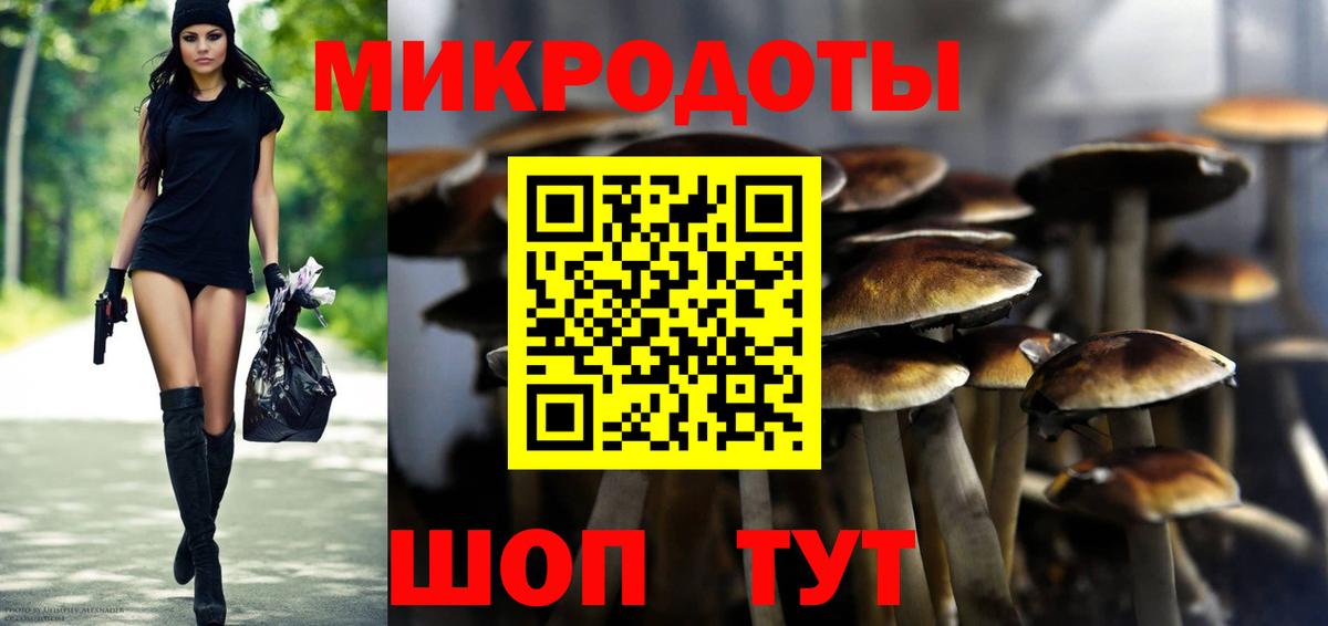 Сунжа  Галлюциногенные грибы Cubensis  Вход с VPN 